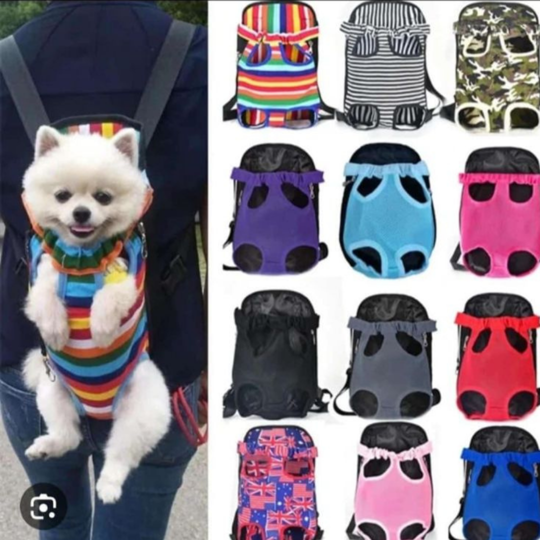 Champú para perro